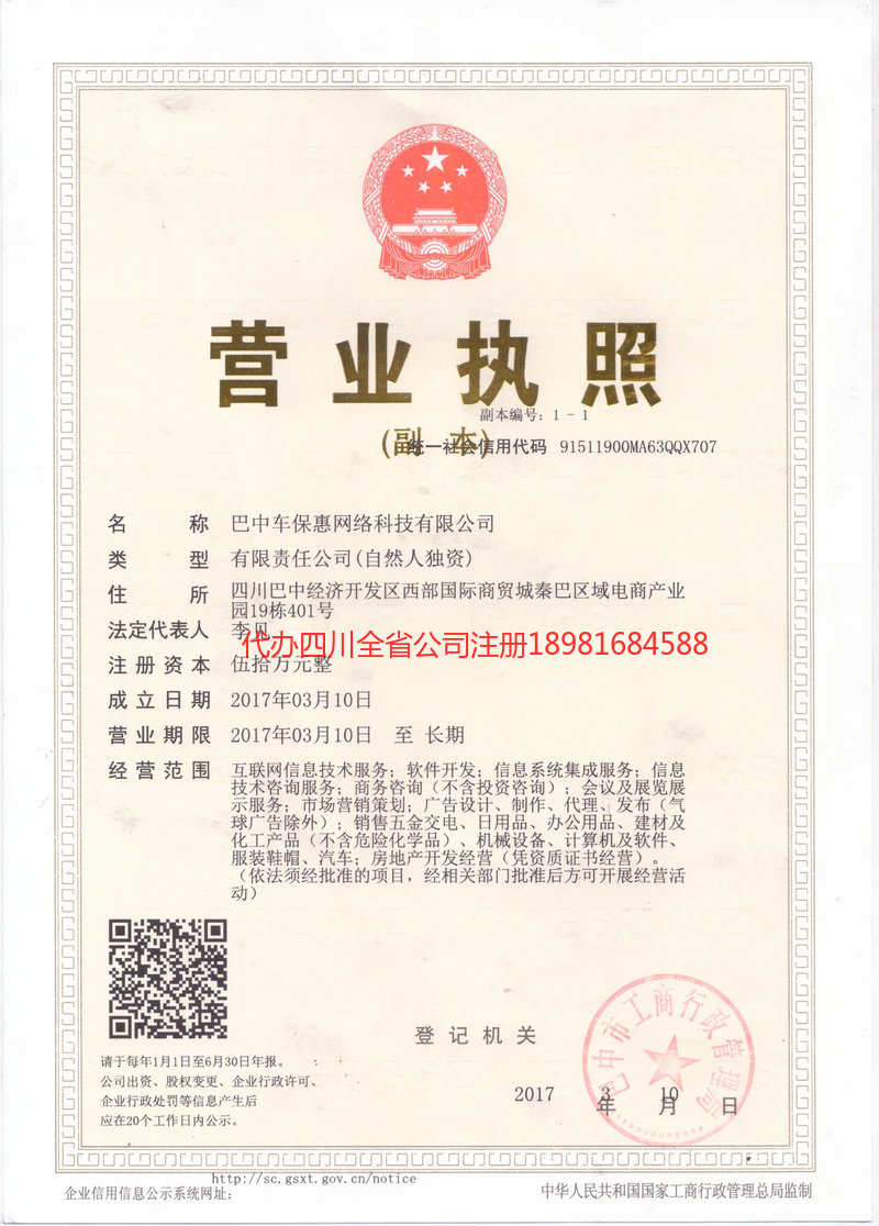 蒲江蒲江车保惠网络科技有限公司